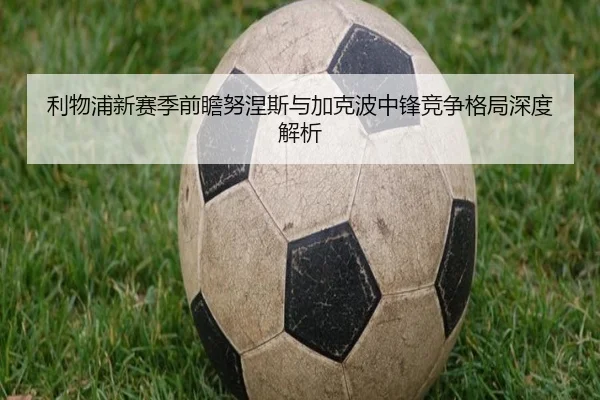 利物浦新赛季前瞻努涅斯与加克波中锋竞争格局深度解析